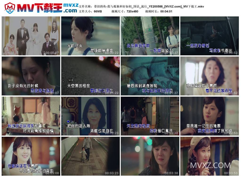 带泪的鱼-我与孤独和好如初_国语_流行_YE200588